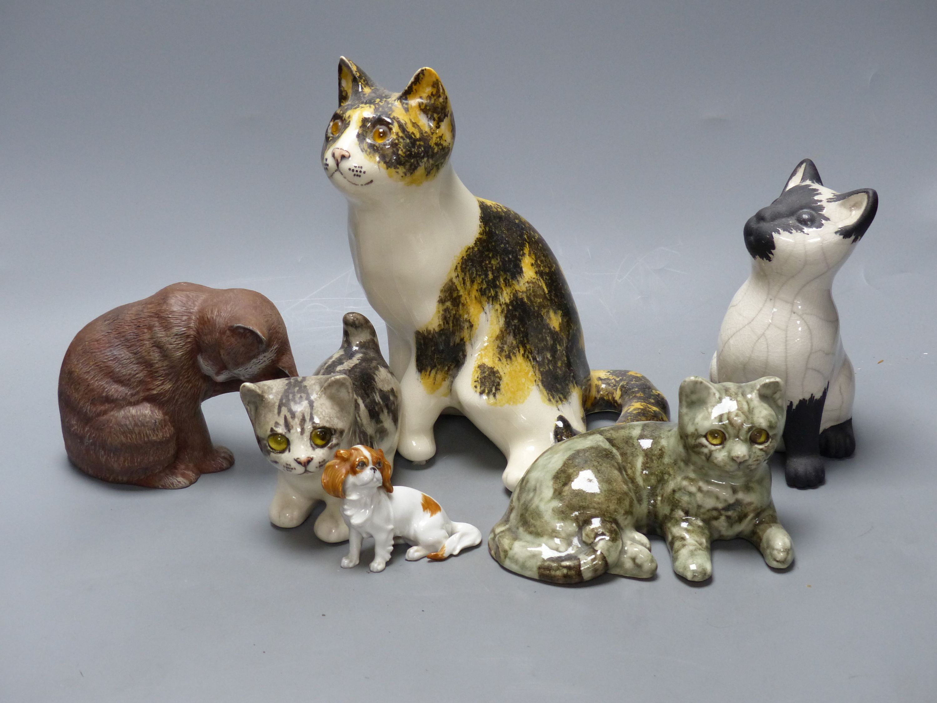 Two Winstanley ceramic cats, three others and a dog, tallest 23cm